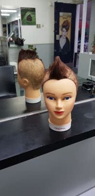 Kapsel met hanenkam